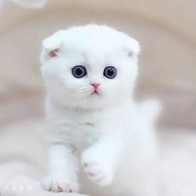 DemirDe59454129's profile picture. 