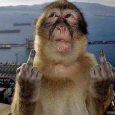 333rs_'s profile picture. I live off sarcasm, so nothing I say should be taken seriously