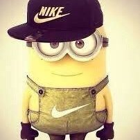 danielpassapicc's profile picture. aspirante a biologo nas horas vaga𓆏𓆉
parcerias📧: contatodanielneckel@gmail.com