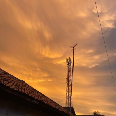 plecci_hendri's profile picture. 