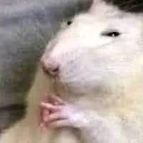 xKriseq's profile picture. hmmmm