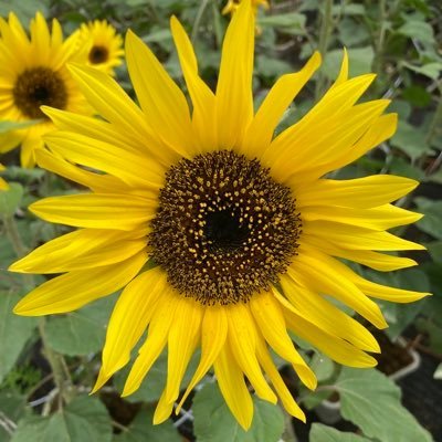 nitrryg's profile picture. actor