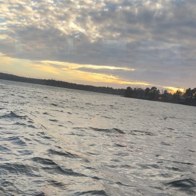 jonathantegen's profile picture. Satire