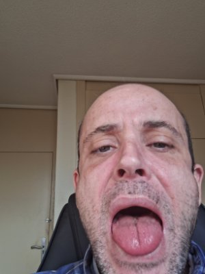 quizaiscience's profile picture. X is nice. TV and newspapers are nice too. Asperger&#039;s, geology degree. Borned in 1984.