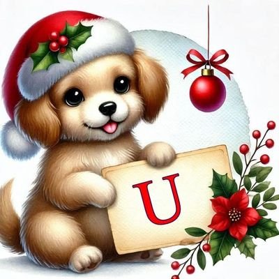 Mikayilova767's profile picture. seidemikayilova0