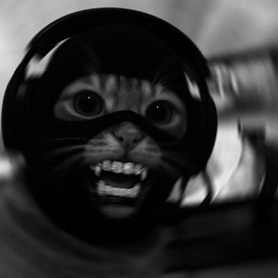 brownyofcrypto's profile picture. 4 4 4 ✞ | Marketing Strategist | Degenerate 📊 | #BNB Community Lead @AGi_XT, @OpticXT | El comerciante