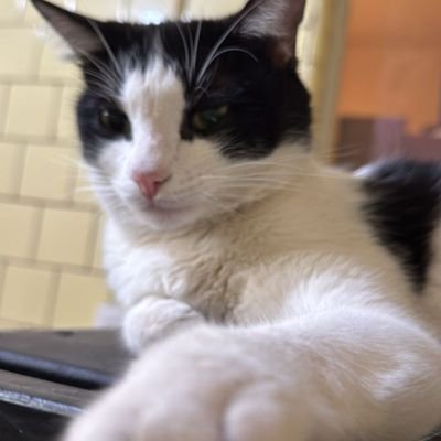 LuisEsparz53540's profile picture. 