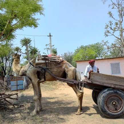 einKampfer3004's profile picture. CSE - MPA - MPS