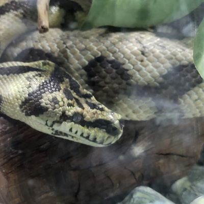 AmyyxMm2's profile picture. 