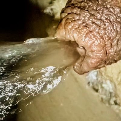 ojisannosikko's profile picture. おじさんの放尿動画　おしっこマニア専用 男女問わず他人のおしっこ動画が好きな私 なら同じ性癖の人もいるかもしれないと思い見て貰うのも有りかな？と気まぐれでUP中
 コメントDMでもっと見たいと人居れば動画をアップします  元水泳選手 ほぼED/酒好き/関西➡リポスト DM 拡散 大歓迎
リクエスト待ってます