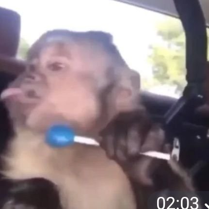 Sterwelt's profile picture. 