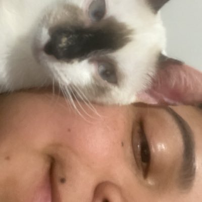 justkamilaa's profile picture. eu sou a puta que o pariu e o caralho de asa