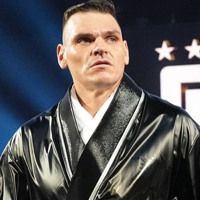 AnIronRegimen's profile picture. The Austrian anvil a colossus, sculpted from grit and glory, with a chop that hits like a freight train derailing your soul. | @Gunther_AUT parody.