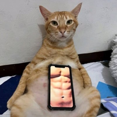 sansemploi_1's profile picture. 