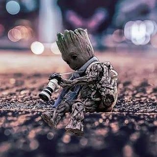 Raj3415's profile picture. 