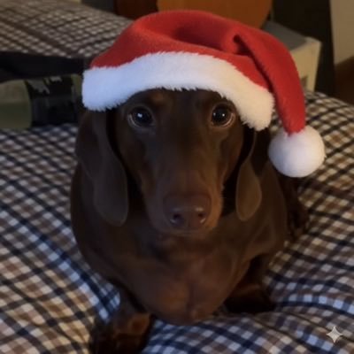 Pelusafafaa's profile picture. 