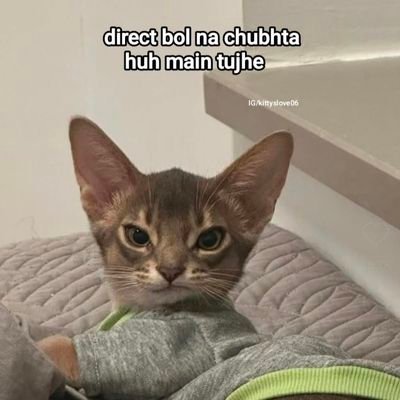 SandeepNeg5898's profile picture. 