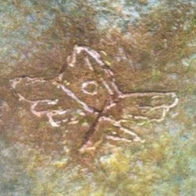 cryptoluvr67's profile picture. 