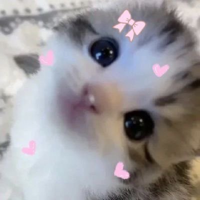 gothiicck's profile picture. puta!