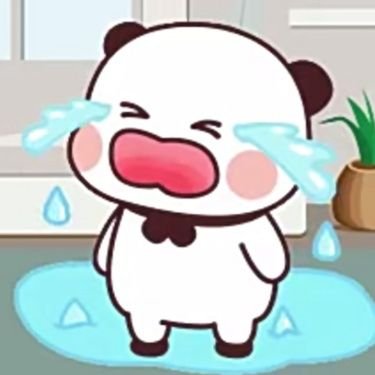 YYoyobunny52133's profile picture. Chennai doctor (MBBS)