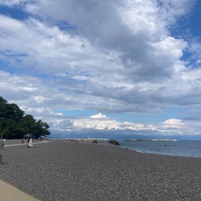 Azuki_984's profile picture. 20↑/プログラミング勉強中/python
取得済み→G検定