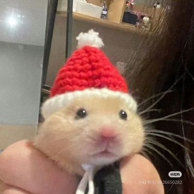 holy_abk11's profile picture. Web3 explorer | From curiosity to consistency😮‍💨🧠
“Crypto never sleeps — neither do I 🚀”