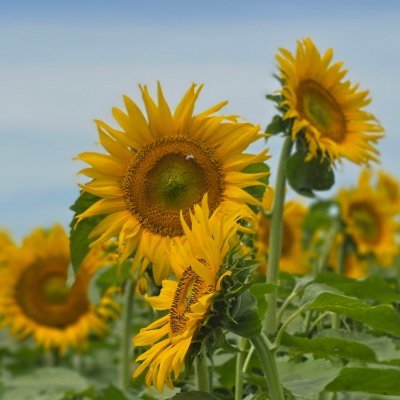 邦ロック日記🐇🌕🔑 (@bando_rock) / Posts / X