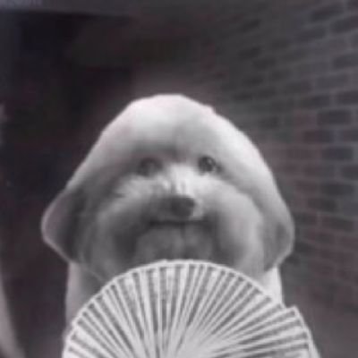 CircuitDoc12's profile picture. The supposed lolcow | https://kiwifarms.st/members/circuitdoc12.210278/ | also! I block suspicious accounts that follow me.