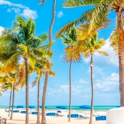 DavidAlanW53501's profile picture. 