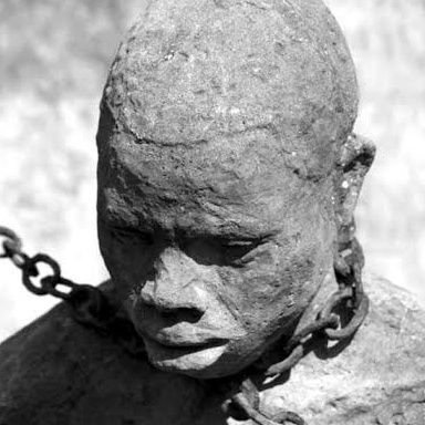 mcervania's profile picture. 