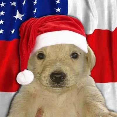 bodormir's profile picture. 