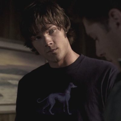 sociowinchester's profile picture. Estudioso, tímido, amo ler, escrever, música, e animais. Minha família é o meu alicerce.