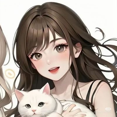 dinwazi's profile picture. 