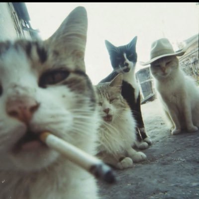 PinkFizz23's profile picture. let’s make money 💸