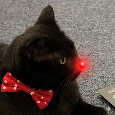 pngdeity's profile picture. Dispatches from the lunatic fringe | Previous @UofIllinois | Looking for work