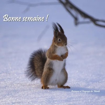 grisweg_b's profile picture. " Il n'y a qu'un bonheur dans la vie, c'est d'aimer et d'être aimé " - George Sand