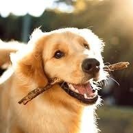 mcknightledg031's profile picture. 