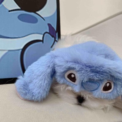 Chieko679's profile picture. 智