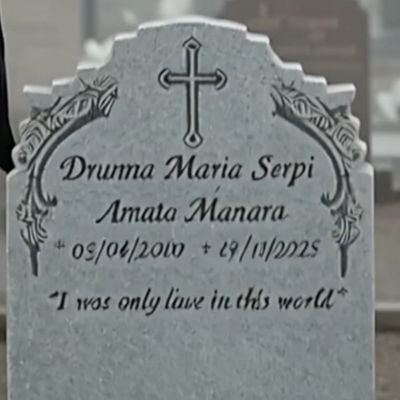 SerpiDrunna's profile picture. In memoriam