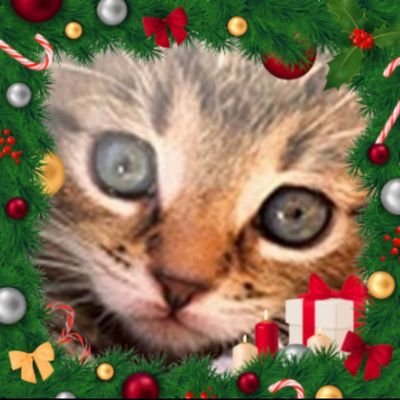 lucasmanteymeme's profile picture. 