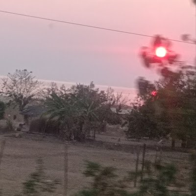 SamsonSa98955's profile picture. 