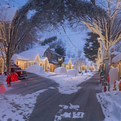 tremorbae's profile picture. ni meow • alt @schizostimmys •📍bushwick