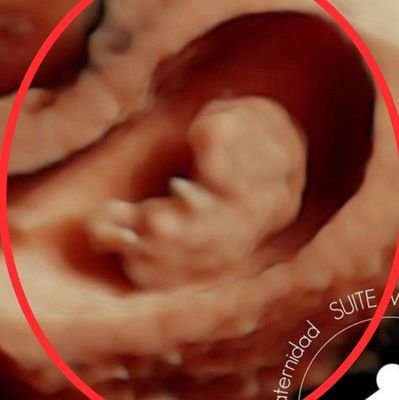 Hector23667's profile picture. 