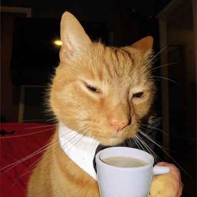 frrggy25951's profile picture. i sometimes make peak