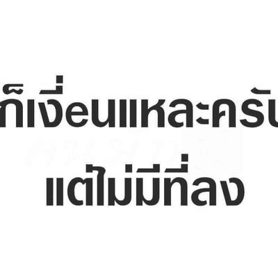 ki_khaf33460's profile picture. โสด