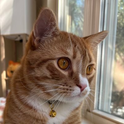 emd2014's profile picture. 