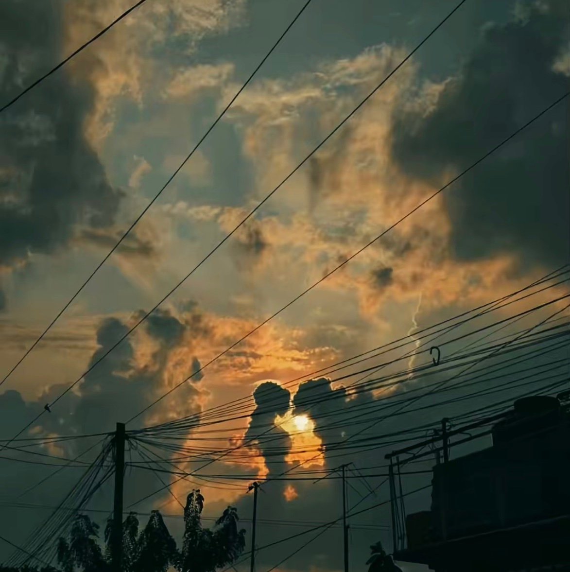 Alexfxw13's profile picture. 