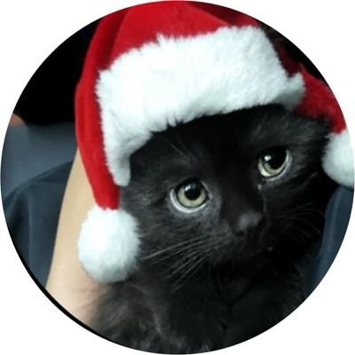 gretel_10000's profile picture. #Fucktoseintolerent 

#Thisisnotreallife!

cash app $tamara71630