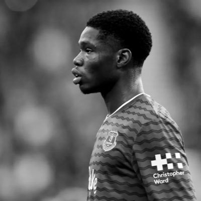 tacticaltoffee's profile picture. Analysis + thoughts on Everton