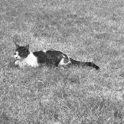 c85488_ml's profile picture. You can accomplish by kindness what you cannot by force.🙏